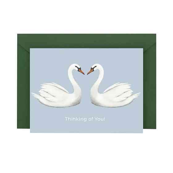 Листівка з конвертом Лебеді СS-GS-002 Вінниця