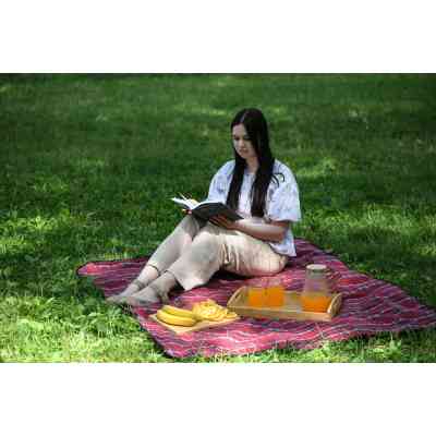 Плед Ardesto Picnic 130х170см, 100% полиэстер, клетка красная (ART0916RC) Винница