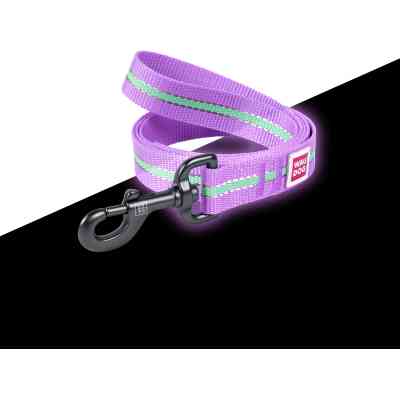 Поводок для собак WAUDOG Nylon светонакопительный M Ш 20 фиолетовый (45749) Винница