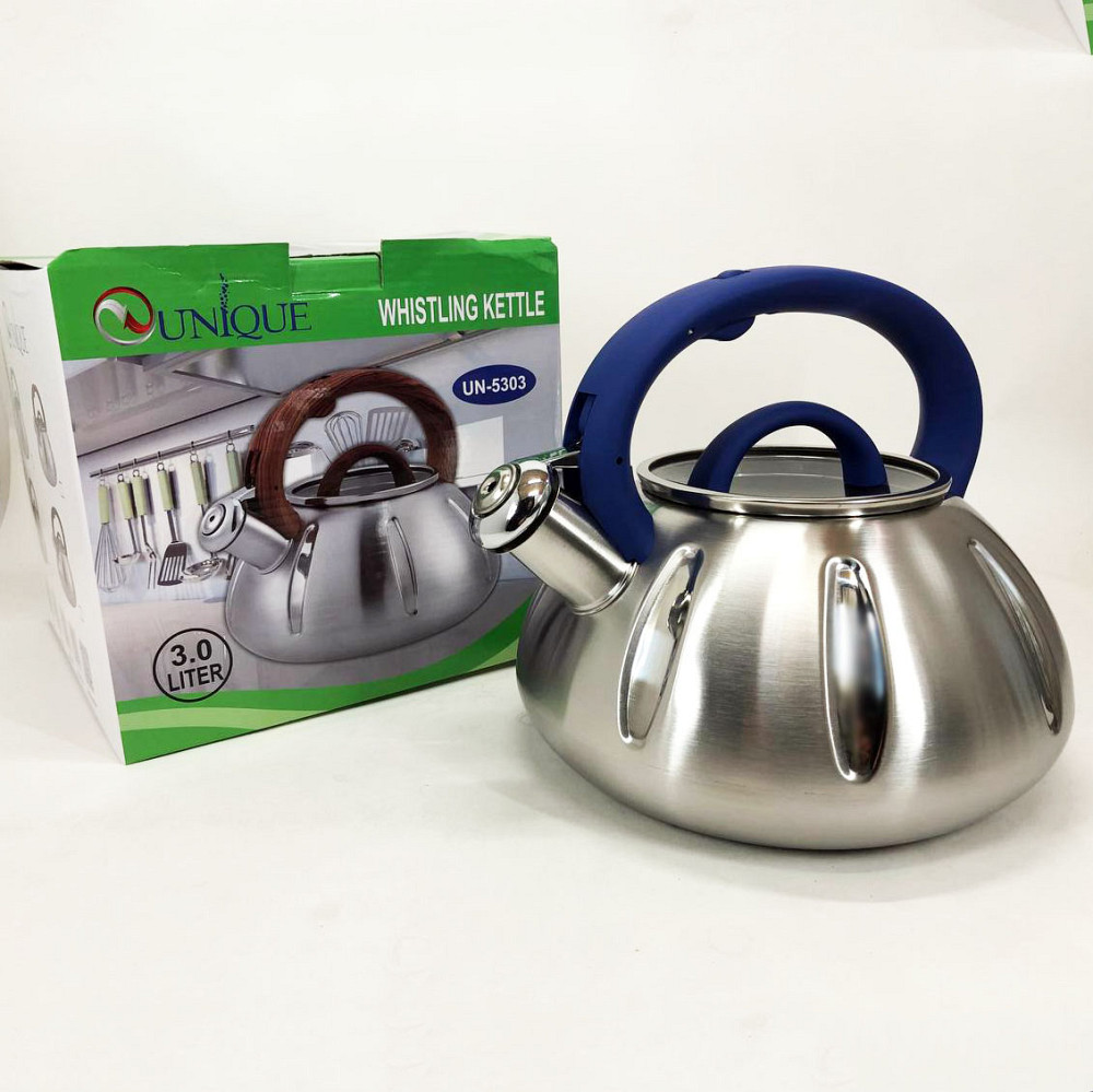 Чайник газовый 3 литра Unique, Чайник со свистком для электрической плиты с эргономичной ручкой GQ-35 Львов - изображение 10