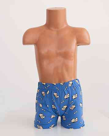 Набір підліткових боксерів на хлопчика з 5 шт. Tom John 541304 Київ