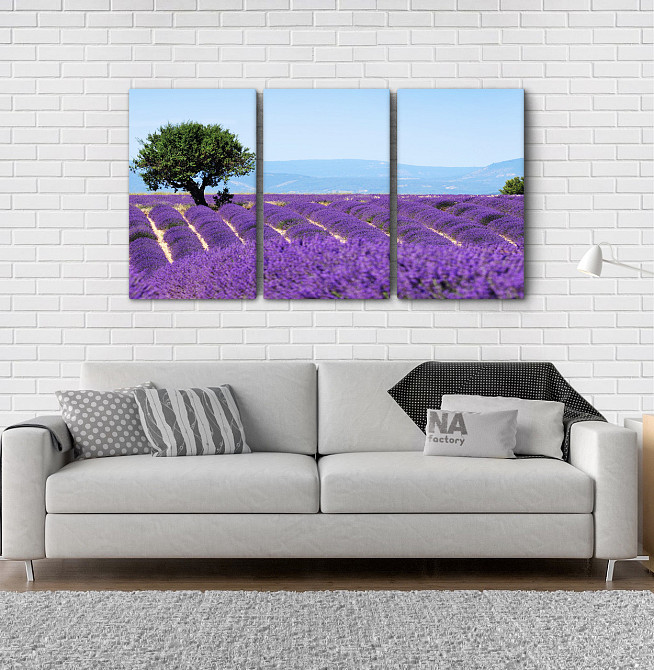 Модульна картина Природа Лаванда Art-41_3А Київ - фото 2