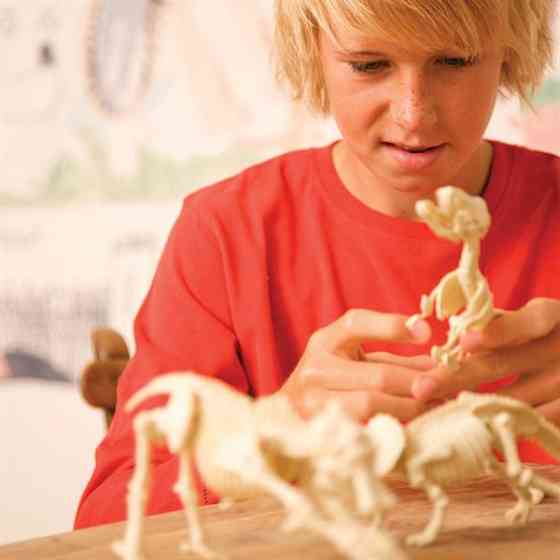 Набір для розкопок 4M Скелет брахіозавра (00-03237) Харків