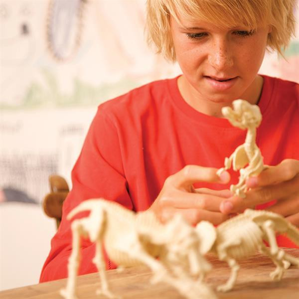 Набір для розкопок 4M Скелет брахіозавра (00-03237) Харків - фото 6