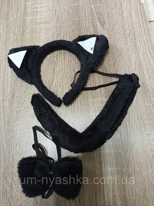 Комплект Кота Кошки Кошечки Кривой Рог - изображение 4