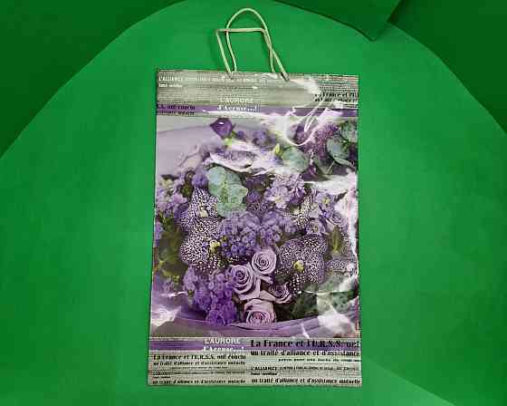 Пакет бумажный гигант вертиркальный (30х42х12)(артGV-001) (12 шт) Харьков