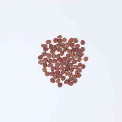 Сухой корм для кошек Carnilove True Fresh Cat Chicken 340 г (8595602561476) Винница