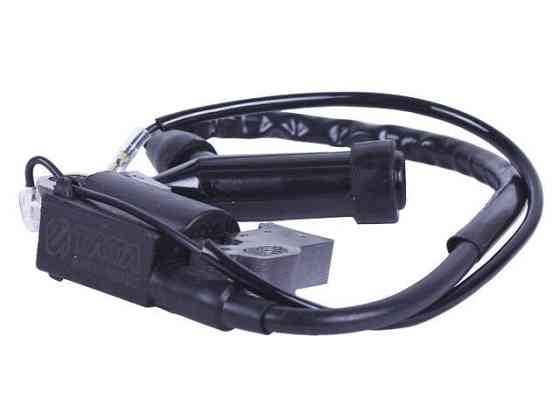 Катушка высокого напряжения с надсвечником на двигатель мотоблок 188F генератора генератор 5-6 KW Мукачево