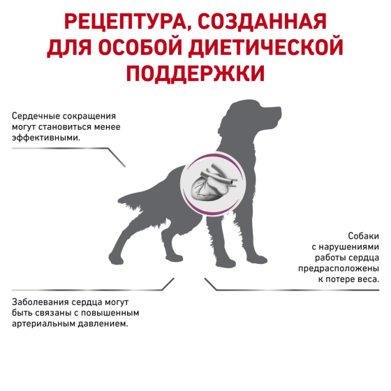 Роуал Canin Cardiac (Рояв Канін Кардіак) сухий корм для собак при серцевій недостатності 2 кг. Запоріжжя