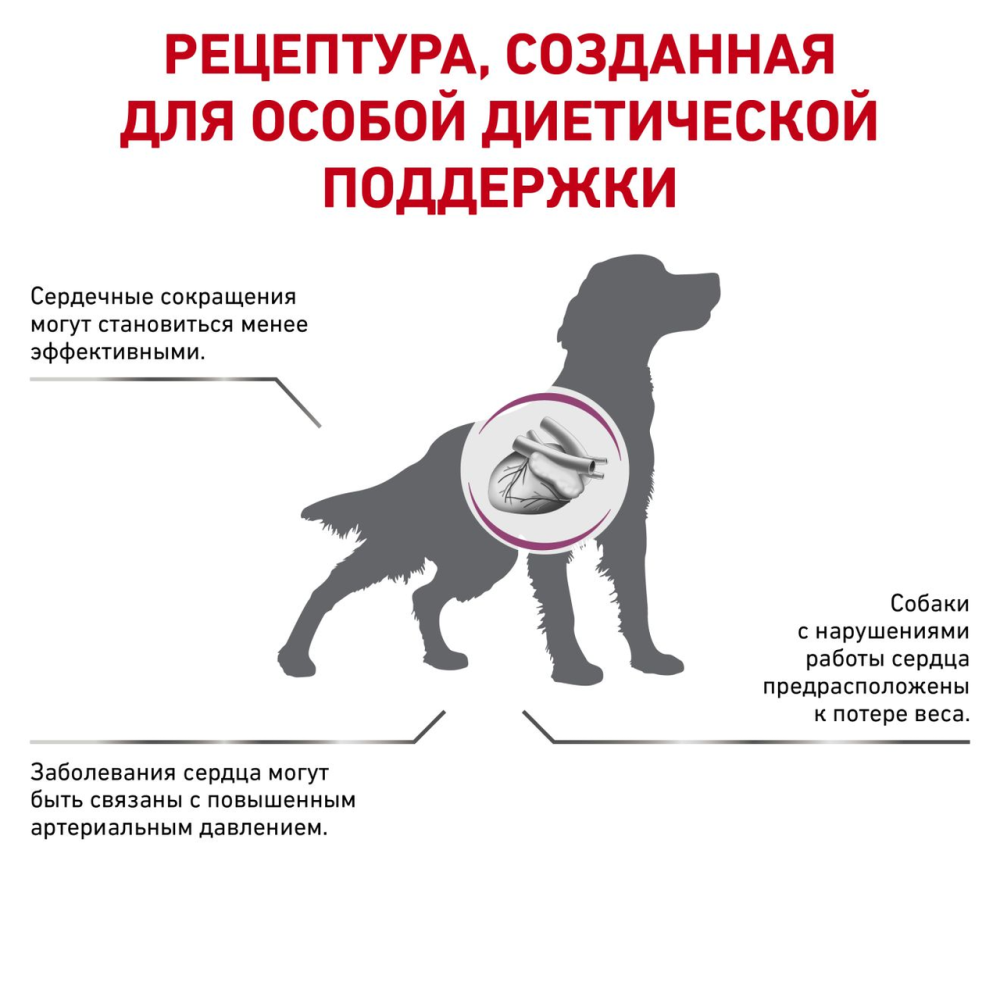 Роуал Canin Cardiac (Рояв Канін Кардіак) сухий корм для собак при серцевій недостатності 2 кг. Запоріжжя - фото 4