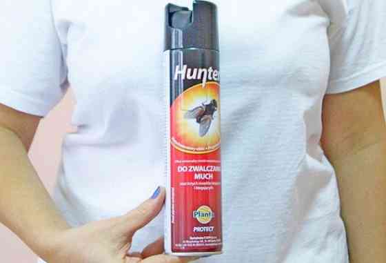 Аерозоль від мух та інших комах Hunter Дніпро