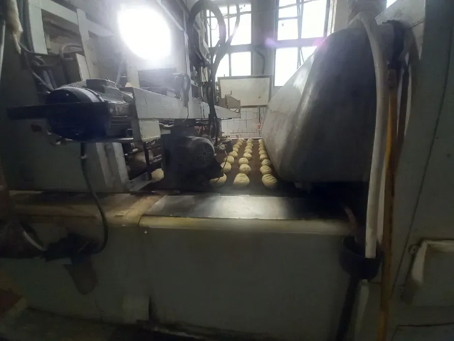 Продам действующий хлебзавод, под ключ. Полностью настроенный бизнес-процесс включая: 1616 м2 построек, 84 соток земли. 85 человек персонала. Днепр - изображение 1