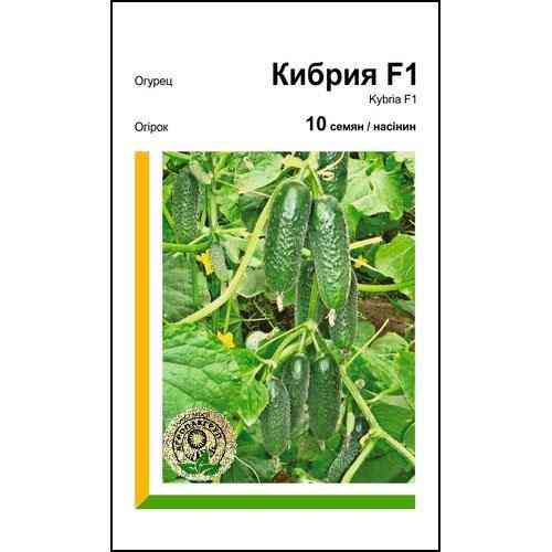 Семена огурца Кибрия F1 10 сем., Rijk Zwaan, Голландия Винница