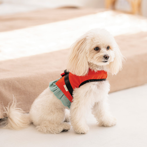 Шлея Monika ТМ Pet Fashion для собак S Киев - изображение 5