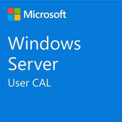 ПО для сервера Microsoft Windows Server 2025 CAL - 1 User CAL - 1 year Subscription, Commercial, Annual (DG7GMGF0PWHT_0004_P1Y_A) Винница