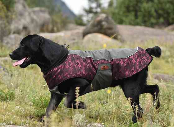 Куртка для собак BlackDoggy (Блекдоги) VC14-JK023 L, Бордовий Запоріжжя