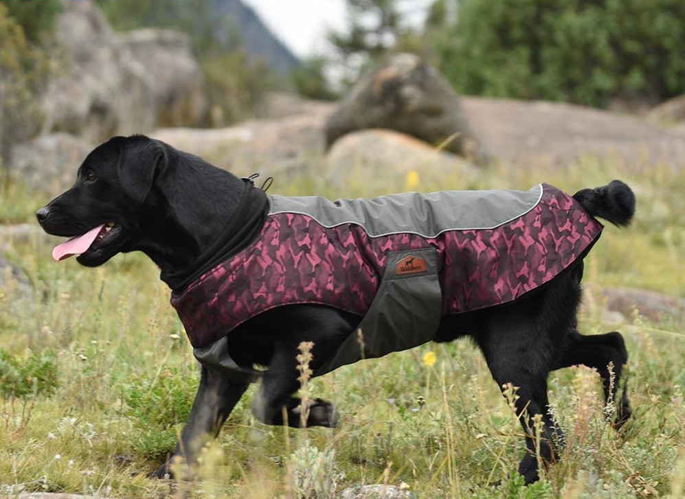 Куртка для собак BlackDoggy (БлекДогги) VC14-JK023 L, Бордовый Запорожье - изображение 2