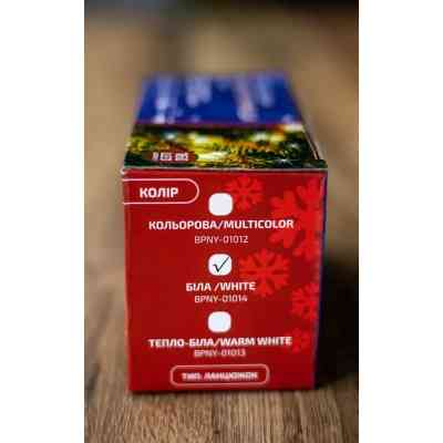 Гірлянда BPNY White 160 LED, 10М, 8 функций, 220V, 9.6W (102950) Вінниця