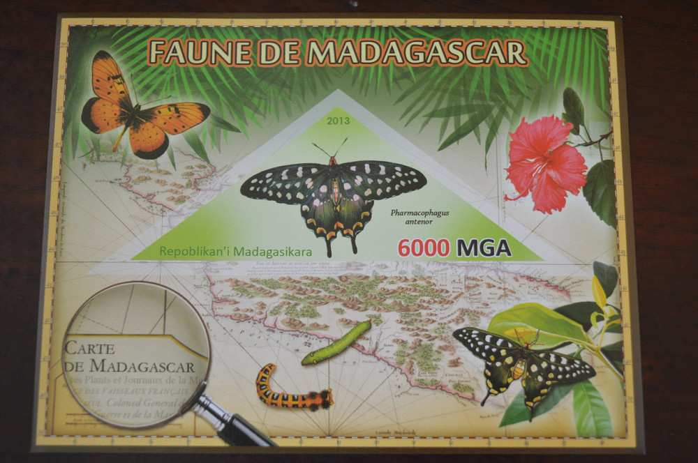 Мадагаскар. Фауна. Личности. Блок. 2014 р. (А-34) Полтава - фото 1