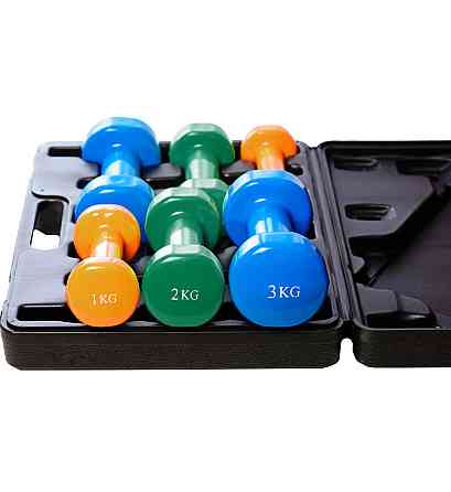 Набір гантелей в кейсі 12 кг. PowerPlay 4118 Fitness Dumbells (2шт.*1кг. 2шт.*2кг. 2шт.*3кг.) Кам'янське