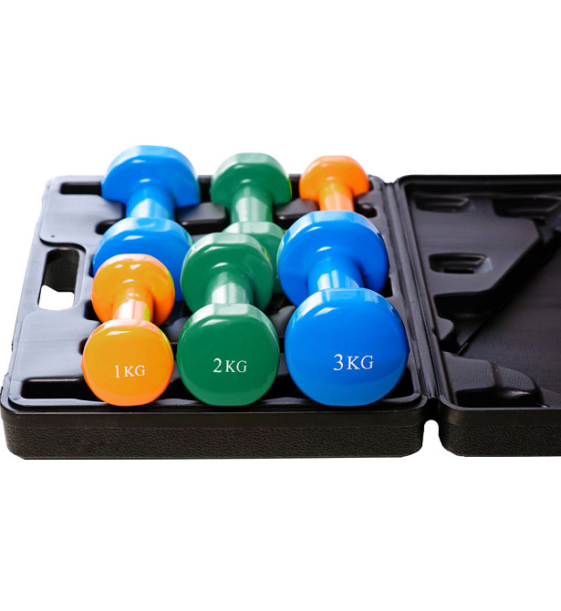 Набір гантелей в кейсі 12 кг. PowerPlay 4118 Fitness Dumbells (2шт.*1кг. 2шт.*2кг. 2шт.*3кг.) Кам'янське - фото 2