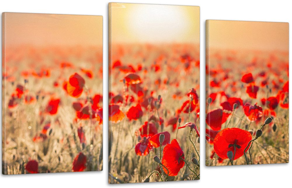 Модульна картина Природа Маки Art-64_3 Київ - фото 1