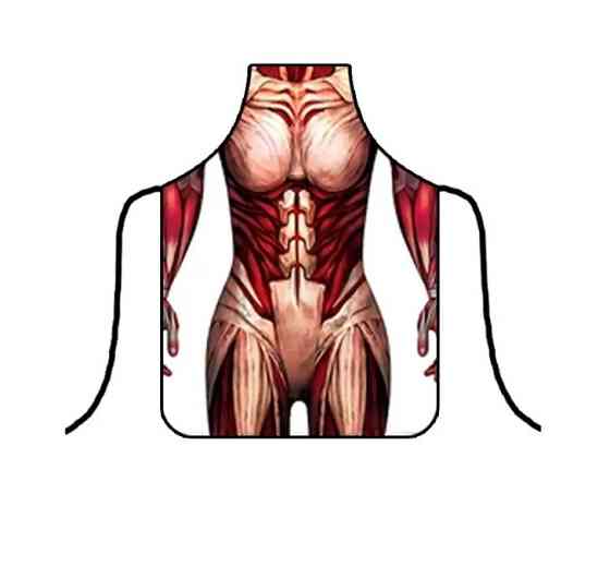 Прикольный фартук с анатомией мужских мышц 75 на 60 см разноцветный Киев