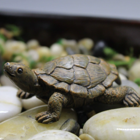 Фигурка Черепаха 7 х 5.6 см для вазона, мини-сада, балкона, флрариума Одесса