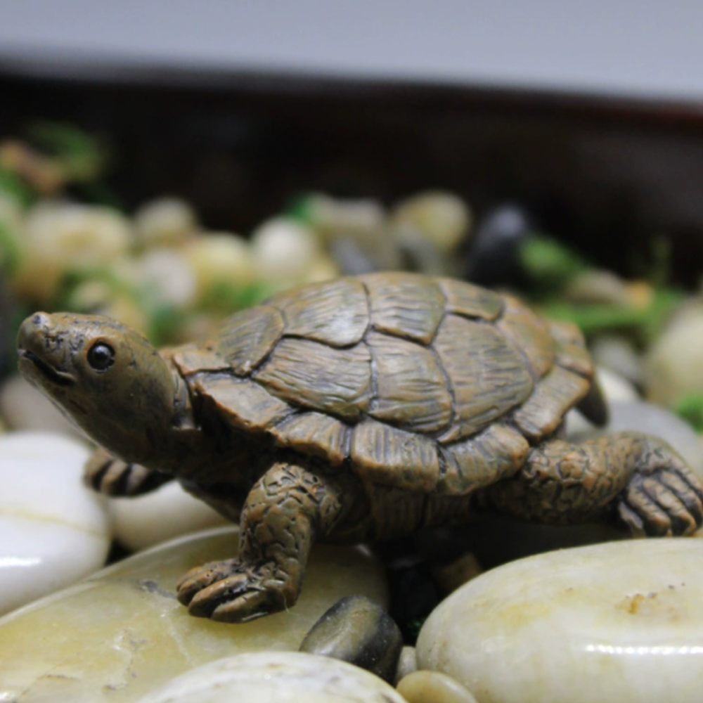 Фигурка Черепаха 7 х 5.6 см для вазона, мини-сада, балкона, флрариума Одесса - изображение 5