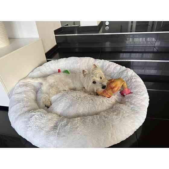 Лежанка для кошек и собак «Ворс» XL (70см), Білий Киев