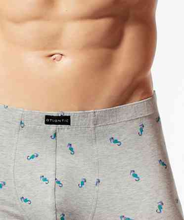 Трусы мужские шорты Atlantic MH-1125 L, Серый Киев