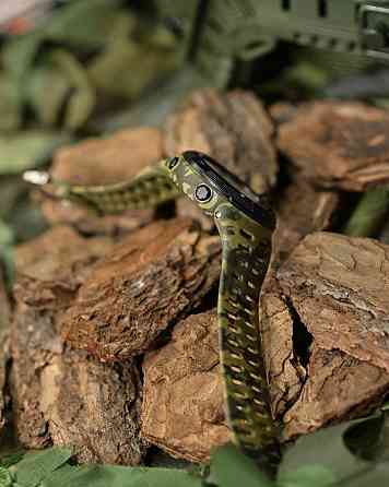 Тактичний годинник Skmei Kord ВТ5940 Одеса