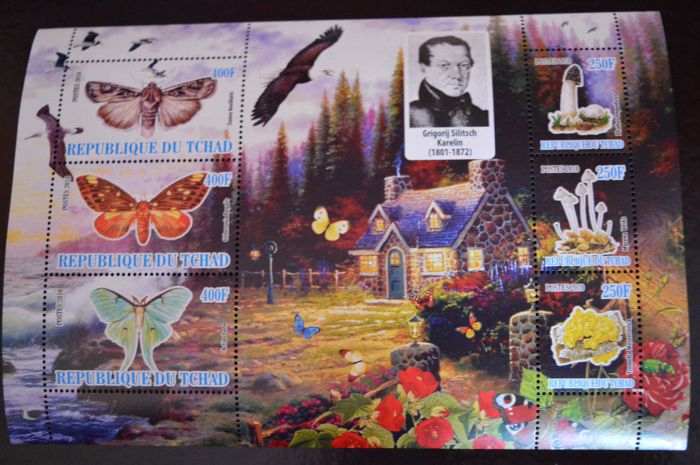 Чад. Фауна. Личность. 2010 год Полтава - изображение 1