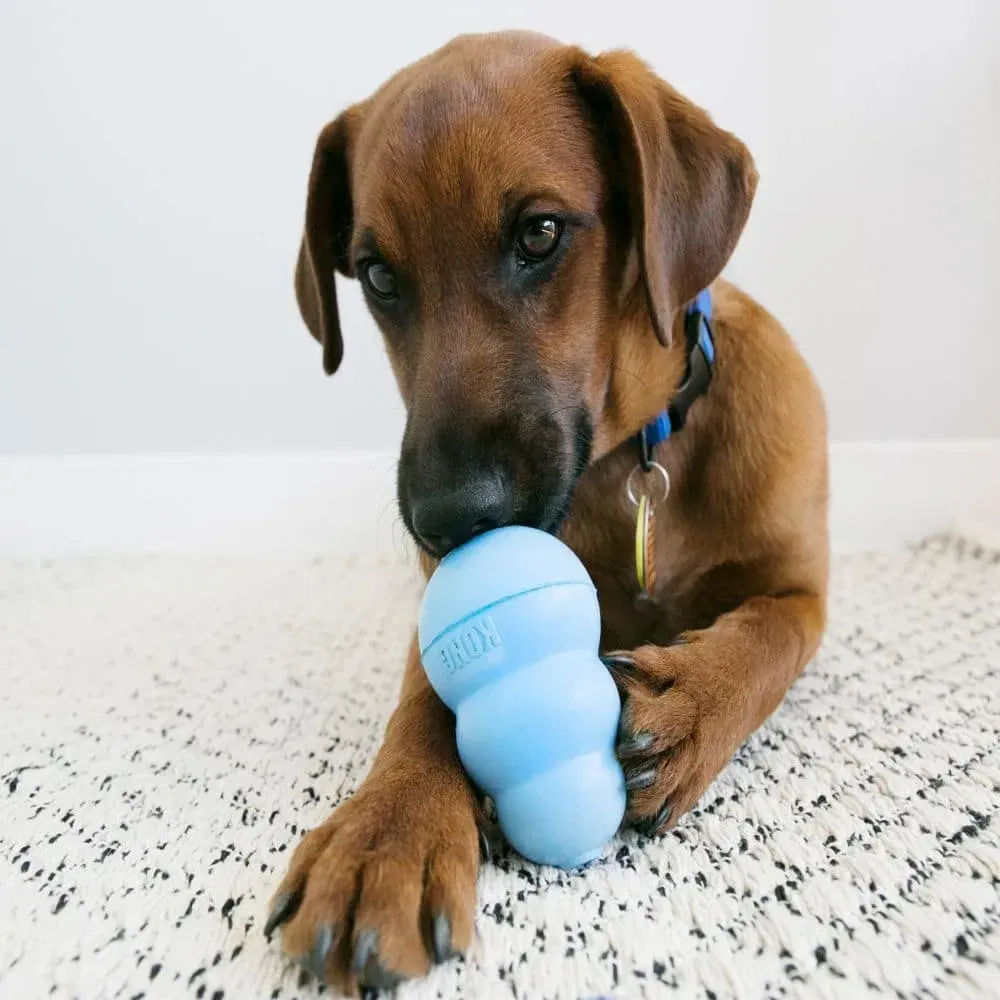 Игрушка для щенков Конг KONG Puppy груша кормушка для собак от 7 до 16 кг, размер M Винница - изображение 8