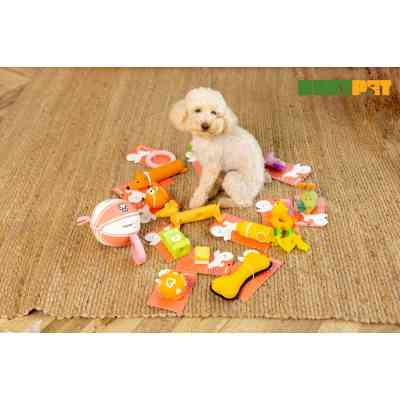 Іграшка для собак MISOKO&amp;CO Кісточка жовта 19 см (BEIRJ04182-G) Вінниця