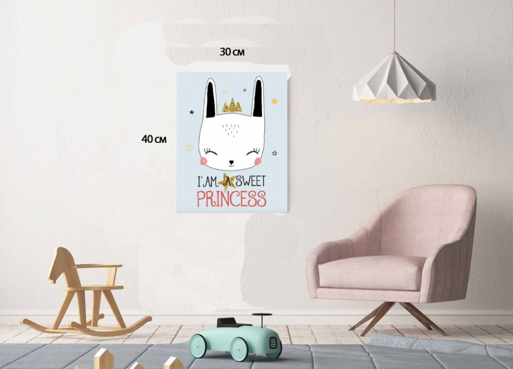 Постер в рамке Princess 30х40 см Винница - изображение 1