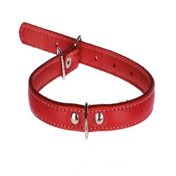 Нашийник 1372 12мм "Люкс" 1 стор. прикрашений стразами Червоний Вінниця