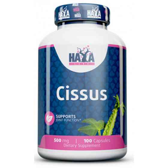 Вітаміни Haya Labs Cissus 500mg 100 Caps Луцьк