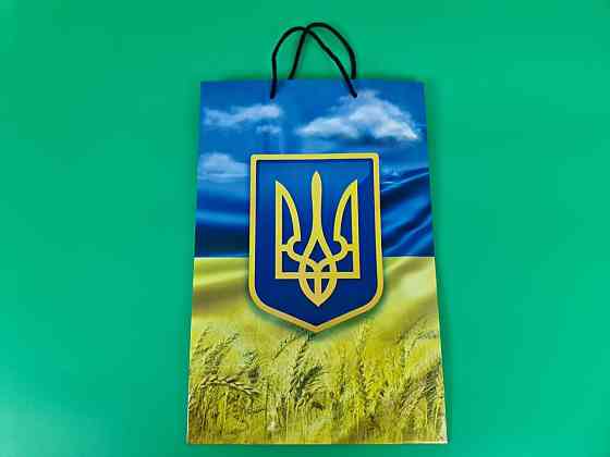 Большой бумажный пакет вертикальный  25/37/8(артBV-189) (12 шт) Харьков