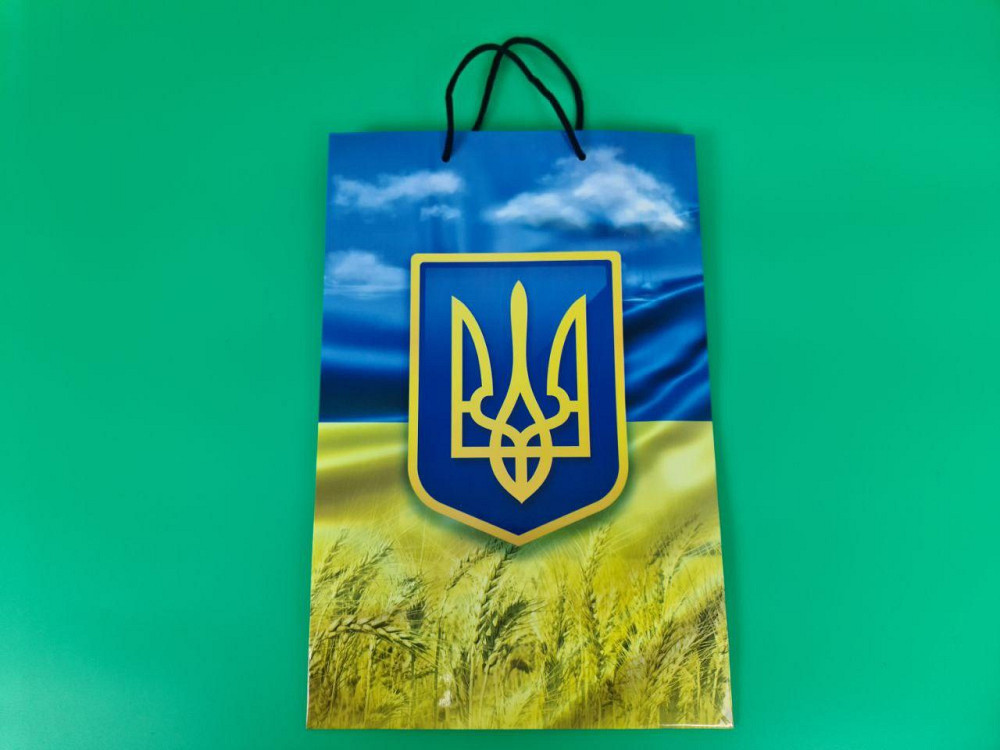 Большой бумажный пакет вертикальный  25/37/8(артBV-189) (12 шт) Харьков - изображение 4