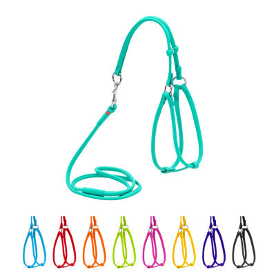 Шлей для собак WAUDOG Glamour круглая, с поводком XXS ментолова (340113) Винница - изображение 1