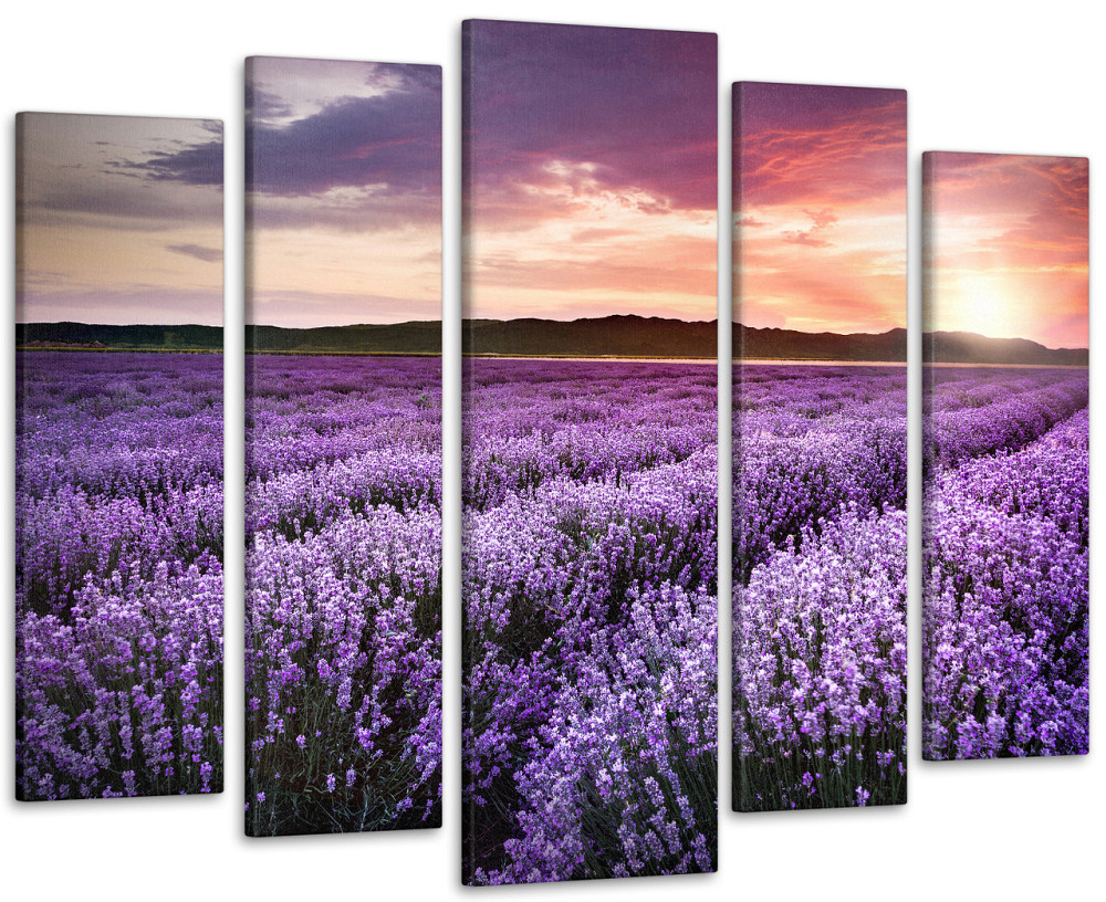 Модульная картина Лавандовое поле Прованс Art-326_5 ( 80х118см ) 90х132 см Киев - изображение 1