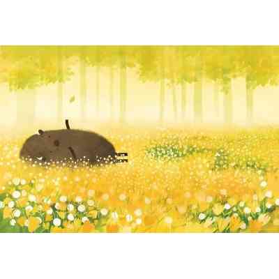 Книга Зубр шукає гніздо - Оксана Була Видавництво Старого Лева (9786176793359) Винница