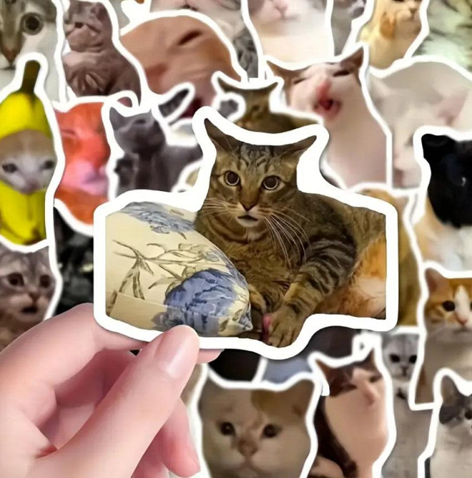 Набір наліпок з мемами про смішних котів (100 шт.) з коробкою для зберігання, стикербомбінг коти Київ - фото 5