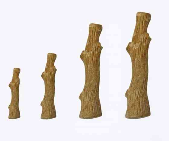Игрушка для собак Крепкая ветка 21 см Petstages Dogwood Stick (Петстеджес Догвуд Стик) Запорожье