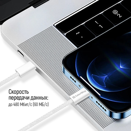 Кабель USB PD Type-C/Type-C ColorWay CW-CBPDCC061-GR 3,0A 60W 1м сірий Житомир