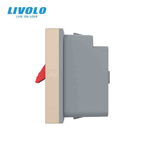 LIVOLO Hi-Fi аудіо розетка LIVOLO (Banana), золота, для колонок і підсилювачів, модуль 0.5 пост Коломия