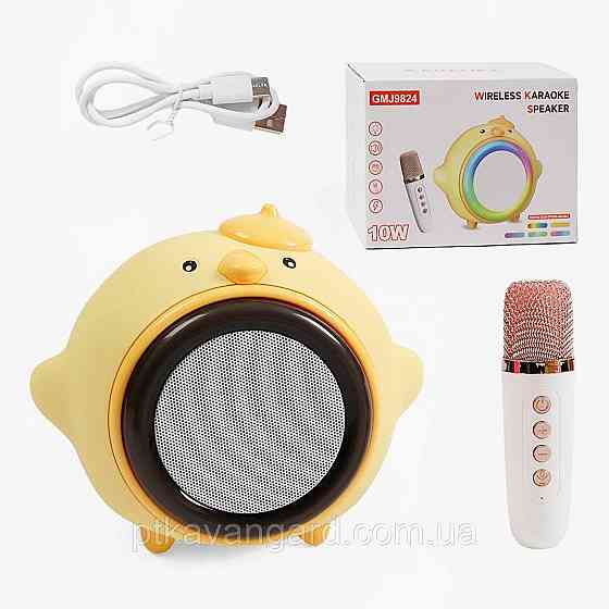 Детская караоке-колонка с микрофоном и блютуз 