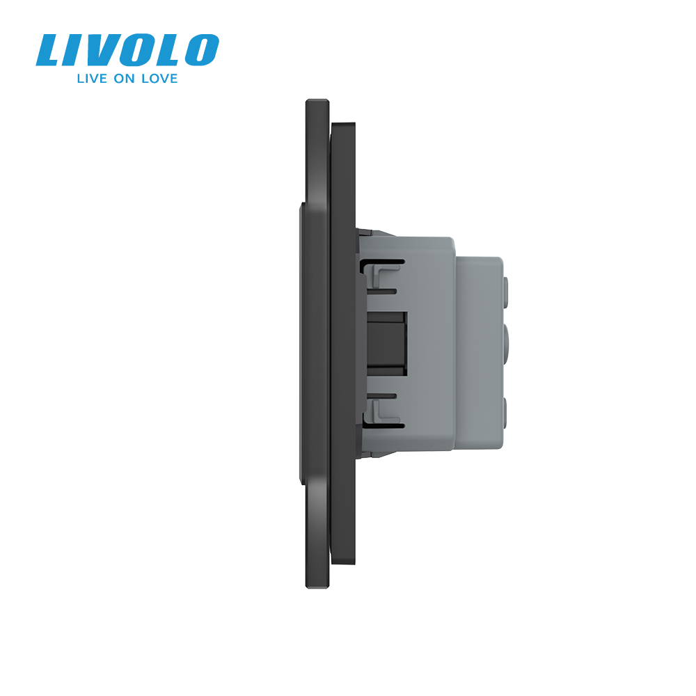 LIVOLO Подвійна електрична розетка з заземленням LIVOLO, чорна, скляна матова рамка, шторки, 25 Коломия - фото 10