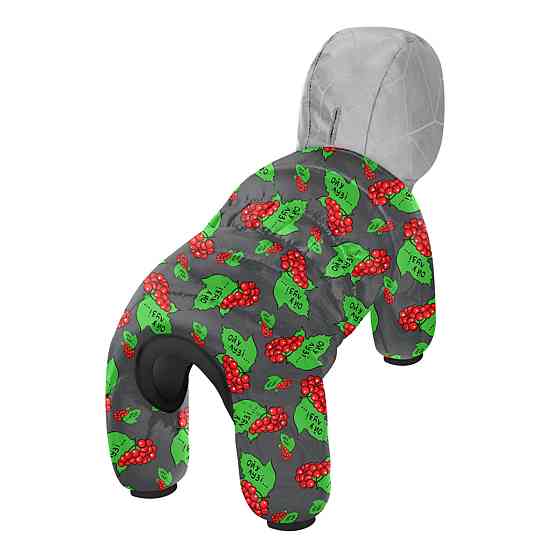 Комбінезон для собак WAUDOG Clothes малюнок "Леопард", M35, В 59-62 см, С 37-40 см Київ